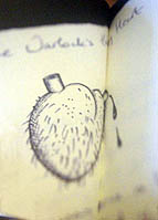 coracaopeludo :: Potterish